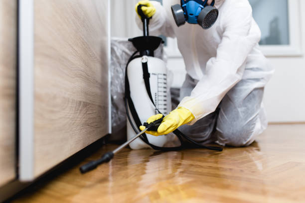 Best Flea Control Services  in Stockton, UT