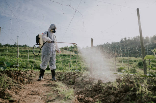 Best Pest Prevention Services  in Stockton, UT