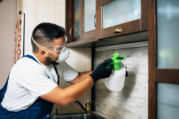 Best Pest Control for Businesses  in Stockton, UT