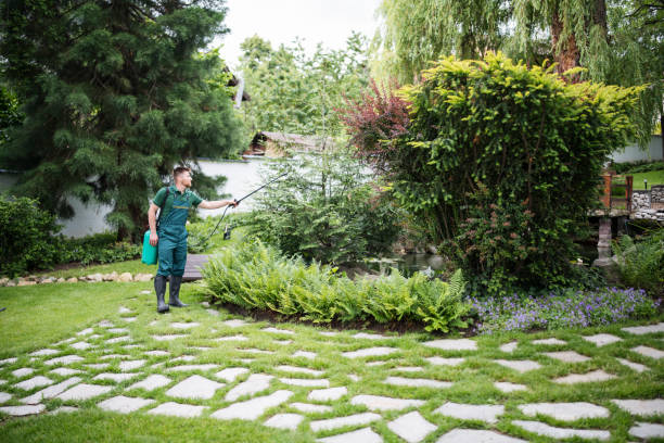 Best Best Pest Control Companies  in Stockton, UT