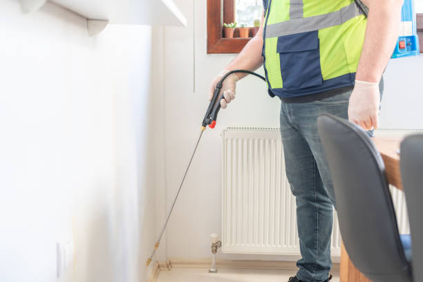 Best Termite Control Services  in Stockton, UT