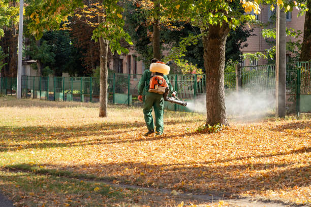 Best Bed Bug Extermination  in Stockton, UT