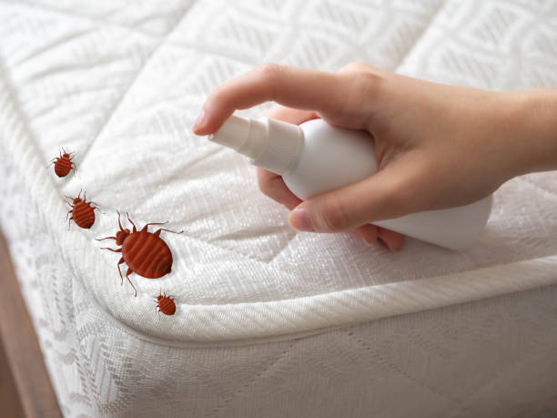 Best Best Pest Control Companies  in Stockton, UT