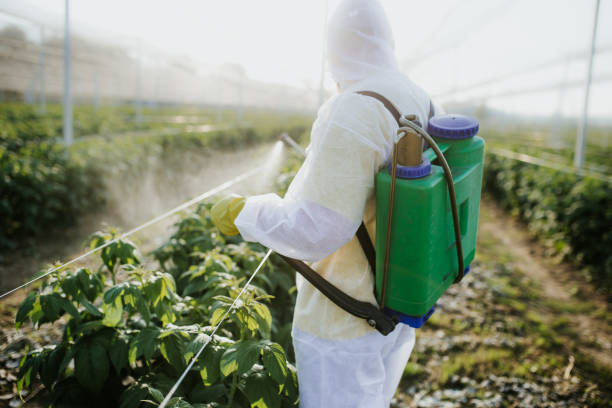 Best Affordable Pest Control Services  in Stockton, UT